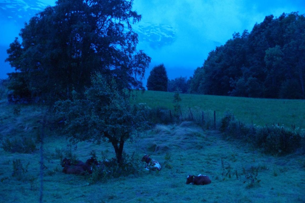 Orheimstunet - Gardsferie For Storfamilien Der Ogsa Hunden Er Velkommen Starheim Dış mekan fotoğraf